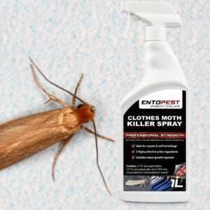 Chrysanthemum Clothes & Carpet Moth Killer Spray