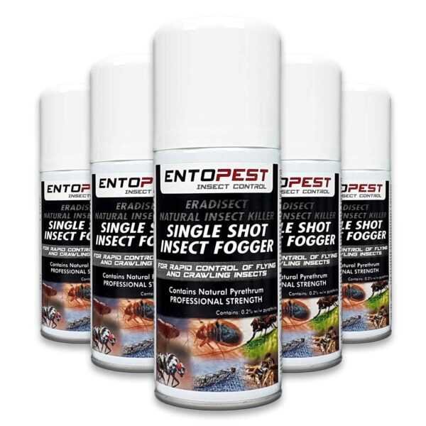Entopest Cluster Fly Attic & Void Fumigator Kit Eradisect Natural Insect Killer, Pack of 3